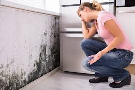 Best Residential Mold Inspection & Testing  in Crafton, PA